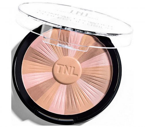 TNL Professional Пудра матирующая компактная Perfect Illusion