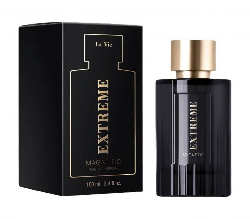 Dilis Men Extreme Magnetic Парфюмерная вода 100мл