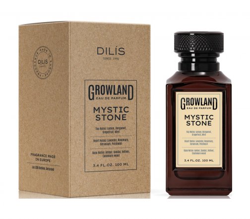 Dilis Men Growland Mystic Stone Парфюмерная вода 100мл