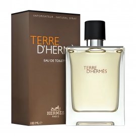 Hermes Men Terre D'Hermes Туалетная вода 100мл