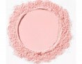 Catrice Пудра рассыпчатая Bright&Blur